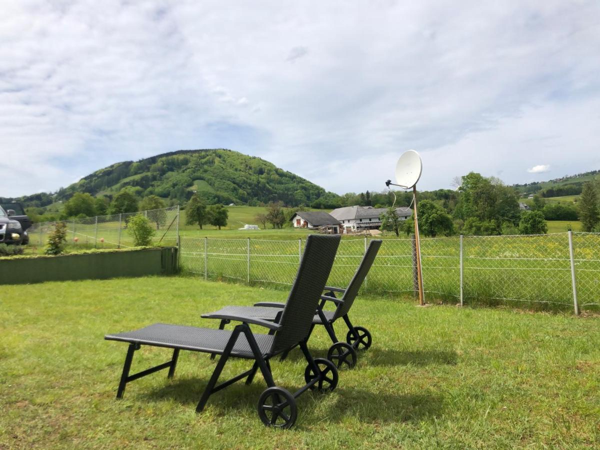 Ferienhaus Am Traunsee Mit Bergsicht トラウンキルヒェン エクステリア 写真