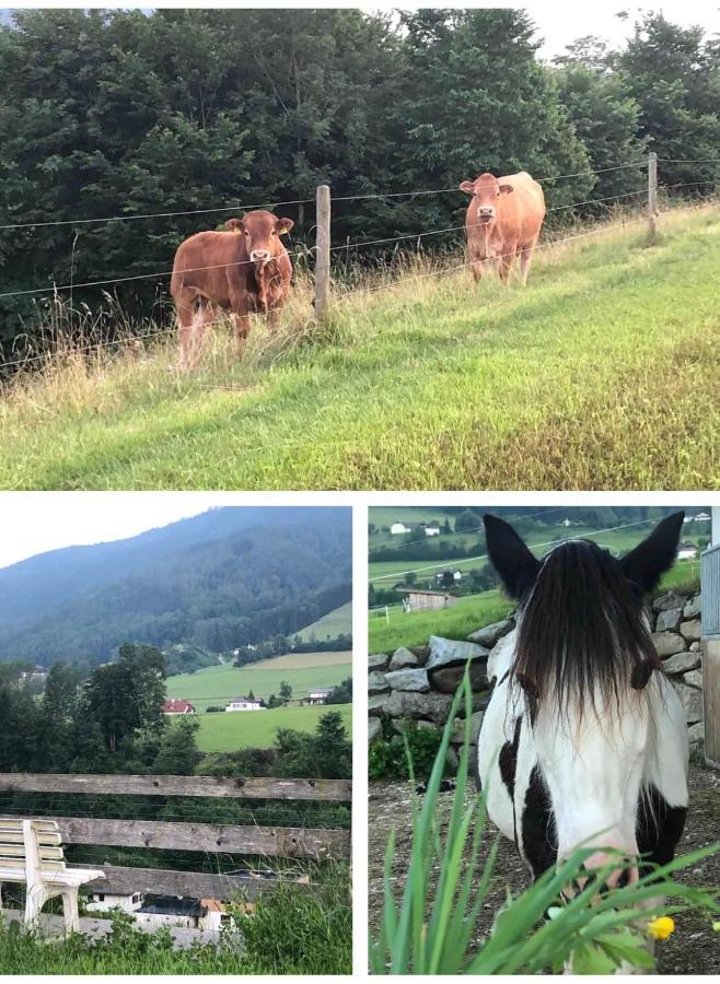 Ferienhaus Am Traunsee Mit Bergsicht トラウンキルヒェン エクステリア 写真